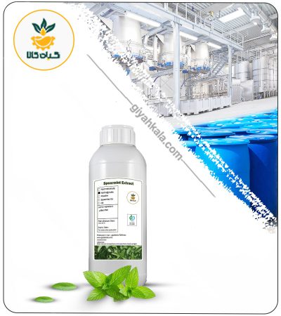 Spearmint Liquid Extract