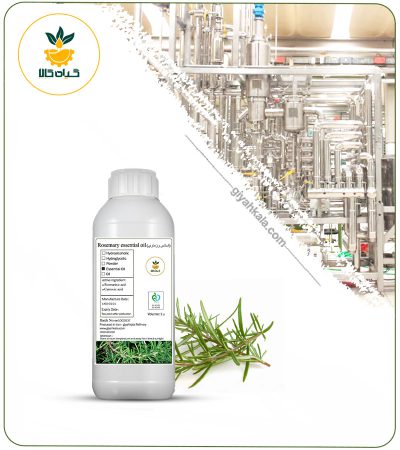 Rosemary Essential Oil