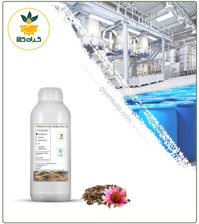 Echinacea Root Liquid Extract