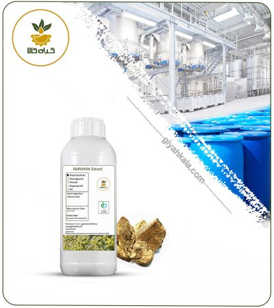 Liquid Asafoetida Root Extract