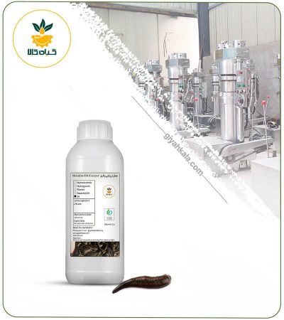 Leech Oil (Hirudin Oil)