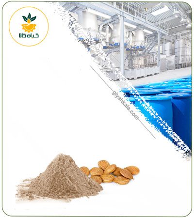 Apricot Kernel Powder Extract