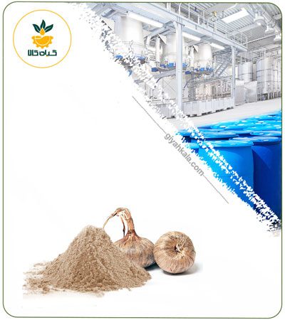 Saffron Bulb Powder Extract