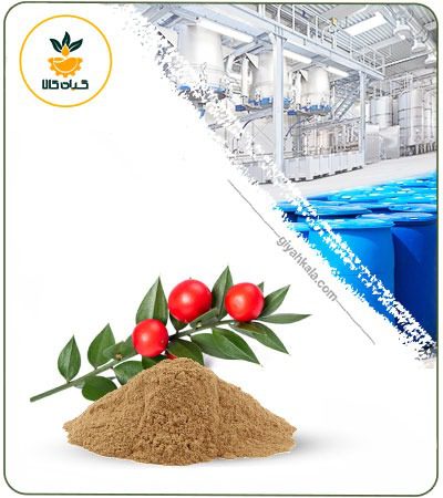 Butcher's Broom (Ruscus Aculeatus) Powder Extract