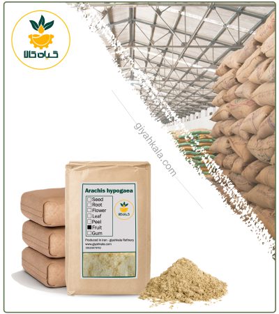 Bulk Dried Peanut Flour