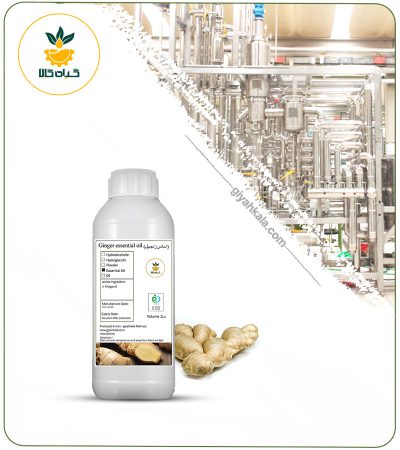 Ginger Essential Oil