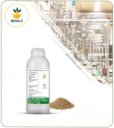 Natural Ajowan Essential Oil