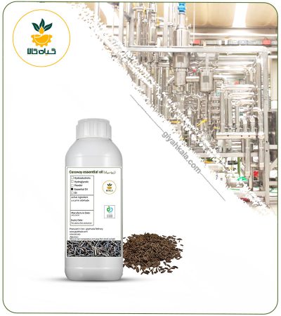 Black Cumin Essential Oil