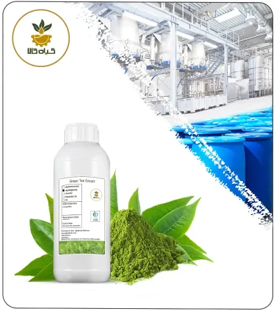 Green Tea Liquid Extract