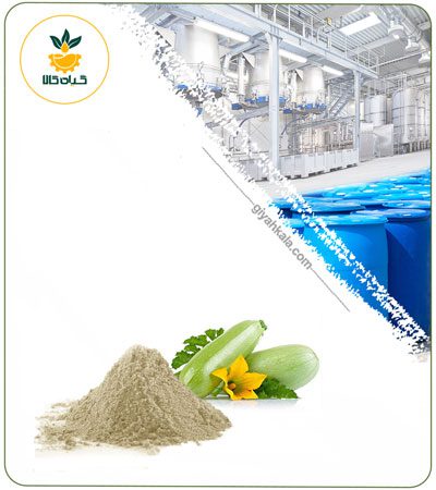 Zucchini Powder Extract