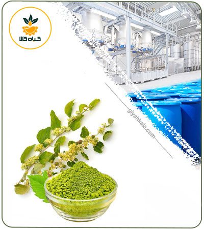 Sidr Powder Extract