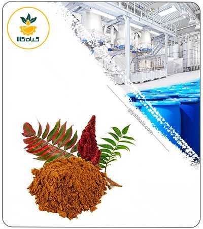 Sumac (Rhus Coriaria) Powder Extract