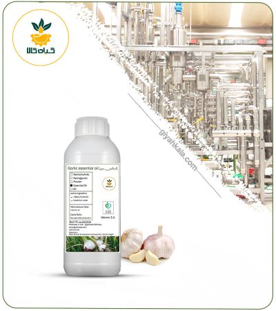 Garlic Essential Oil