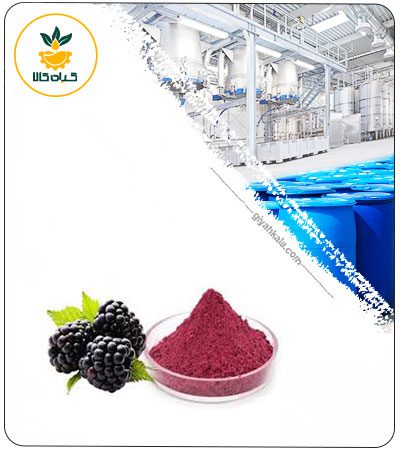Black Mulberry Powder Extract