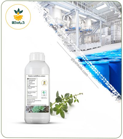 Shirazi Thyme Liquid Extract