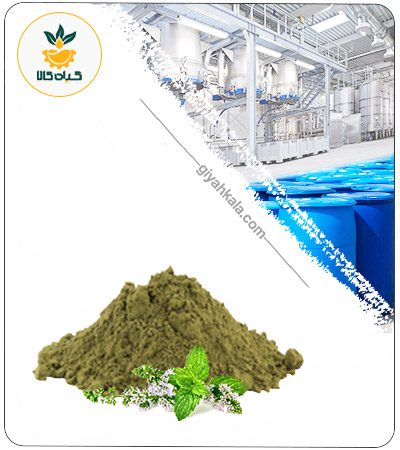 Peppermint Extract Dried or Powder