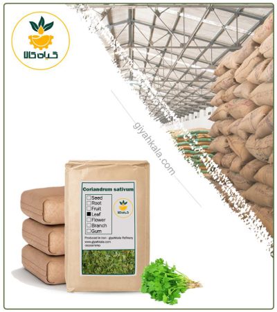 Bulk Dried Coriander Leaves