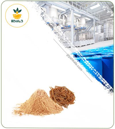 Dried or Powder Red Ginseng Extract