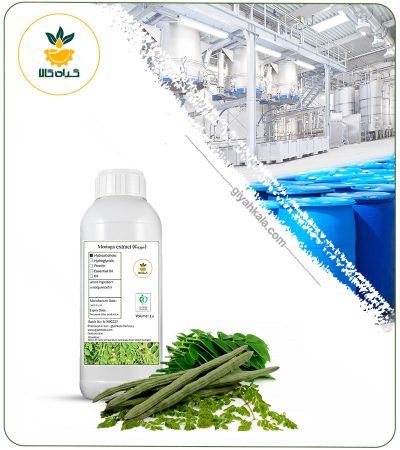 Moringa Liquid Extract