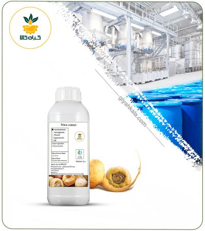 Maca Root Liquid Extract