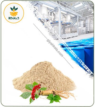Dried or Powder White Ginseng Extract
