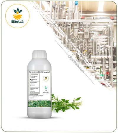 Khuzestan Savory Essential Oil