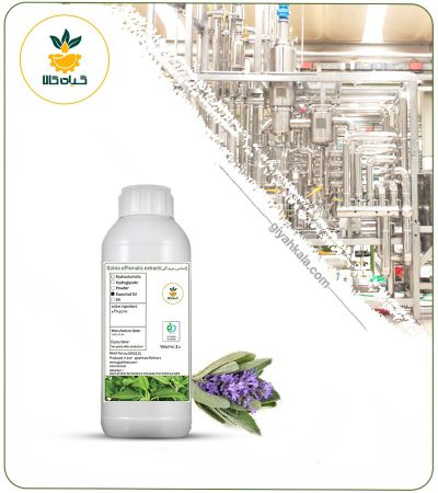 Natural Sage (Salvia Officinalis) Essential Oil