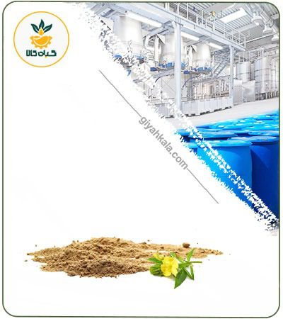 Evening Primrose Flower Powder Extract