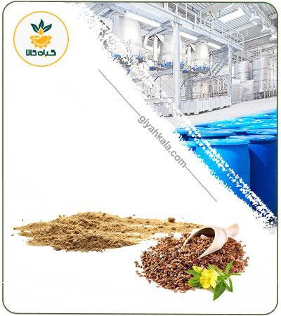 Evening Primrose Seed Powder Extract