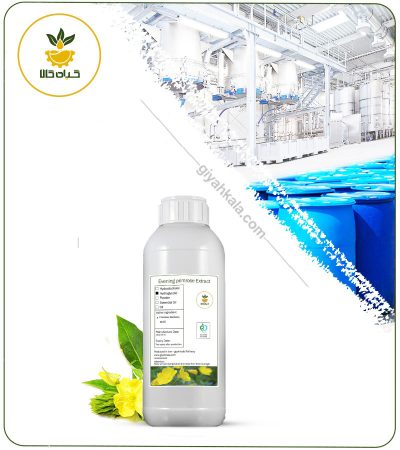 Evening Primrose Flower Liquid Extract