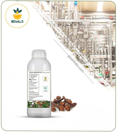 Clove Essential Oil