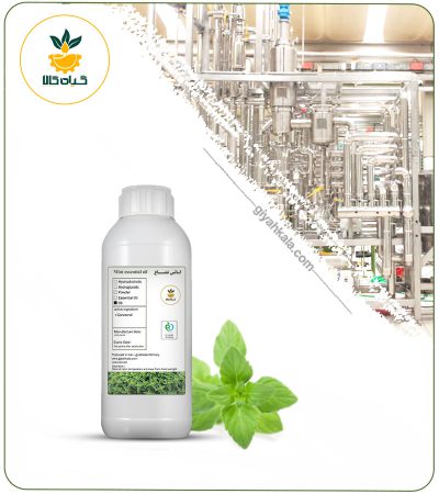 Spearmint Essential Oil