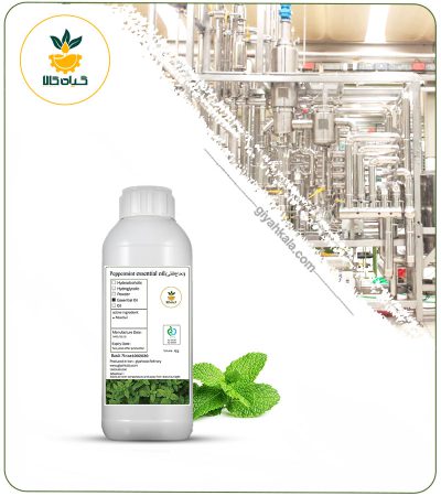 Peppermint Essential Oil