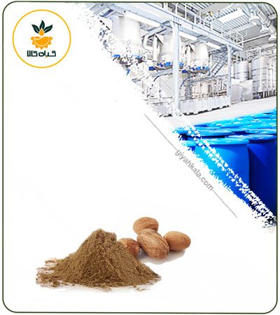 Nutmeg Powder Extract