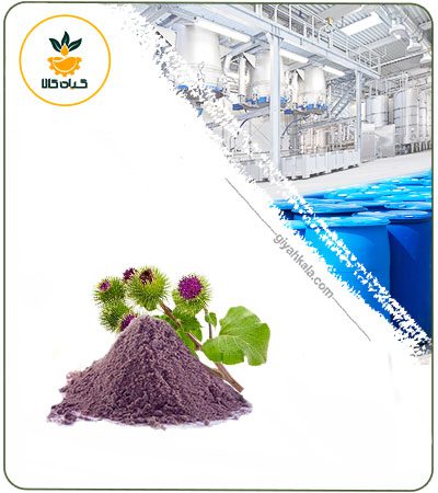 Burdock Powder Extract