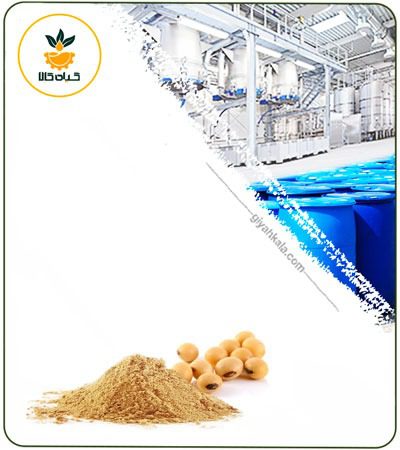 Soybean Powder Extract