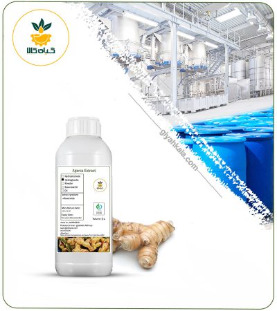 Galangal Liquid Extract