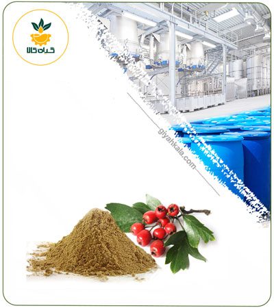 Hawthorn Powder Extract