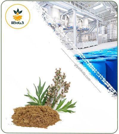 Mugwort Powder Extract