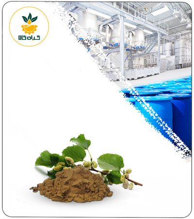 Mulberry Leaf Powder Extract