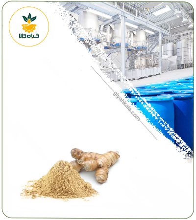 Galangal Powder Extract