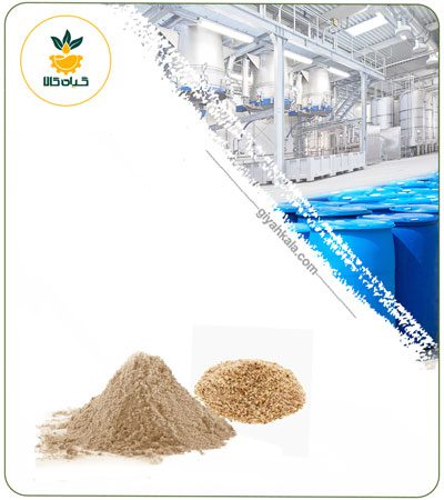 Psyllium Husk Powder Extract