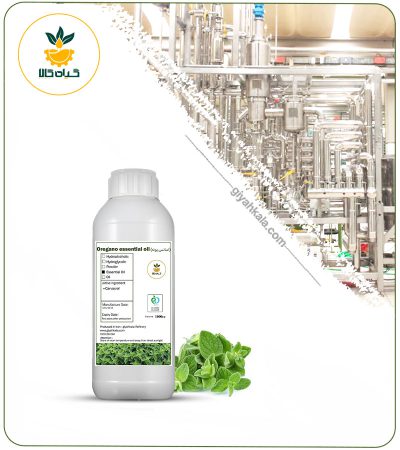 Pennyroyal Essential Oil