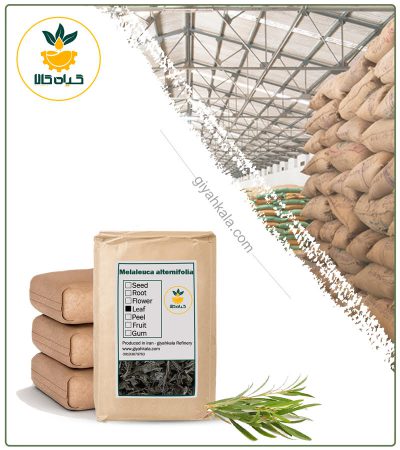 Bulk Dried Tea Tree Leaf