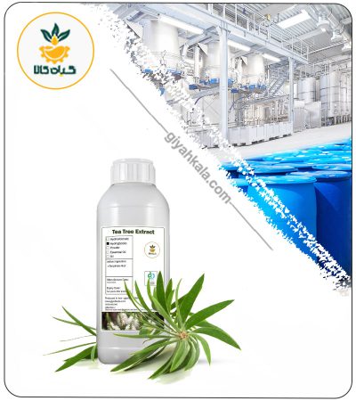 Tea Tree Liquid Extract