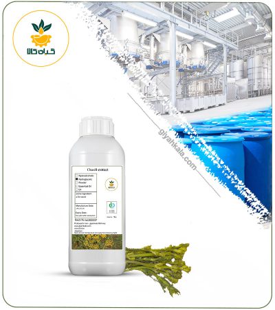 Ferulago Angulate (Chavir) Liquid Extract