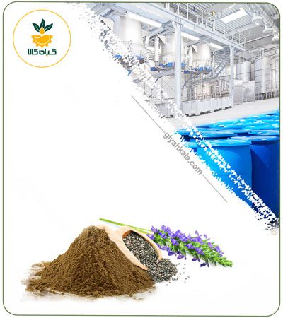 Chia Powder Extract