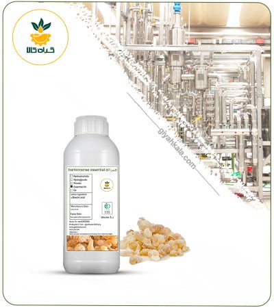 Natural Frankincense Essential Oil