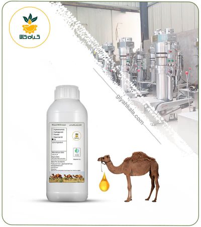 Camel Hump Oil