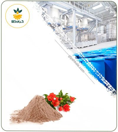 Pomegranate Flower Powder Extract